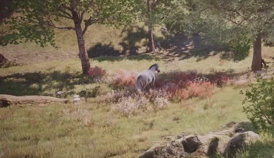 Monture Licorne