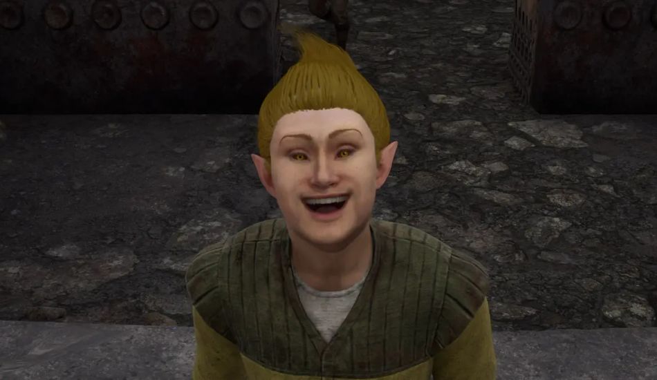 Oblivion Compagnons