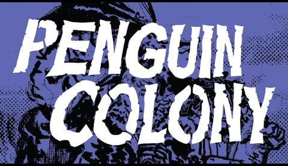 imagePenguin Colony